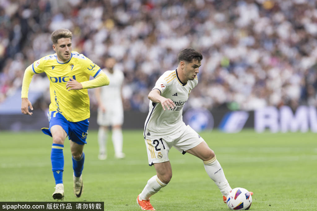 者荣耀夏日 者荣耀夏日